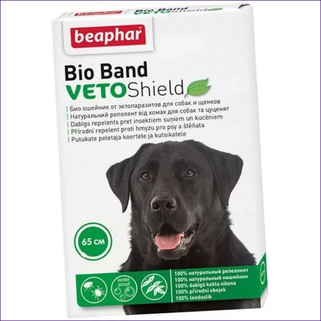 VETO Shield Bio Band